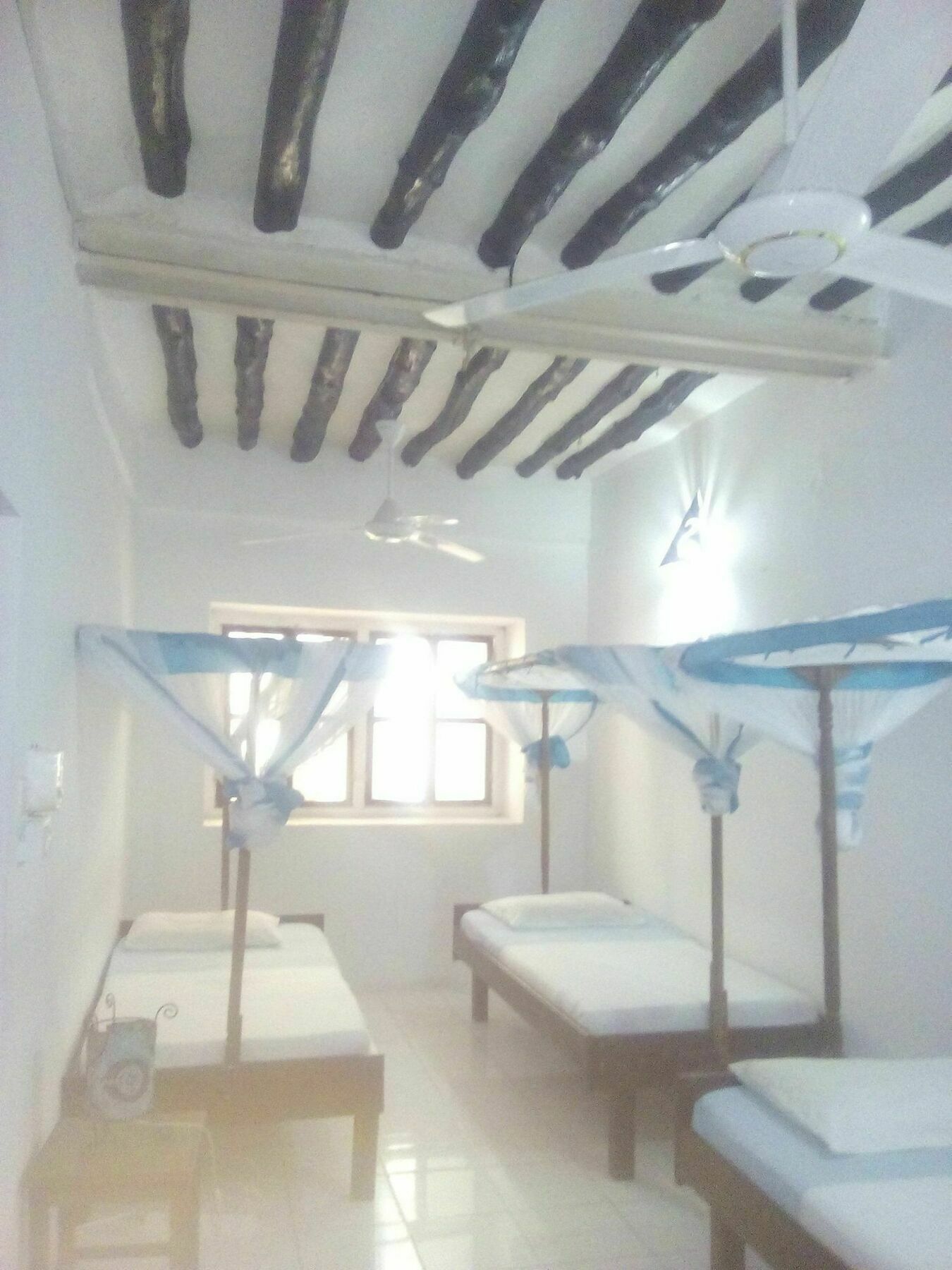 Kiponda B&B Zanzibar Ngoại thất bức ảnh